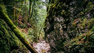 Sucha Bela Gorge, Slovakia