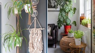 compilation of houseplants in macrame hanging planters and standing next to rattan tables to support the 70s inspired interior design trend