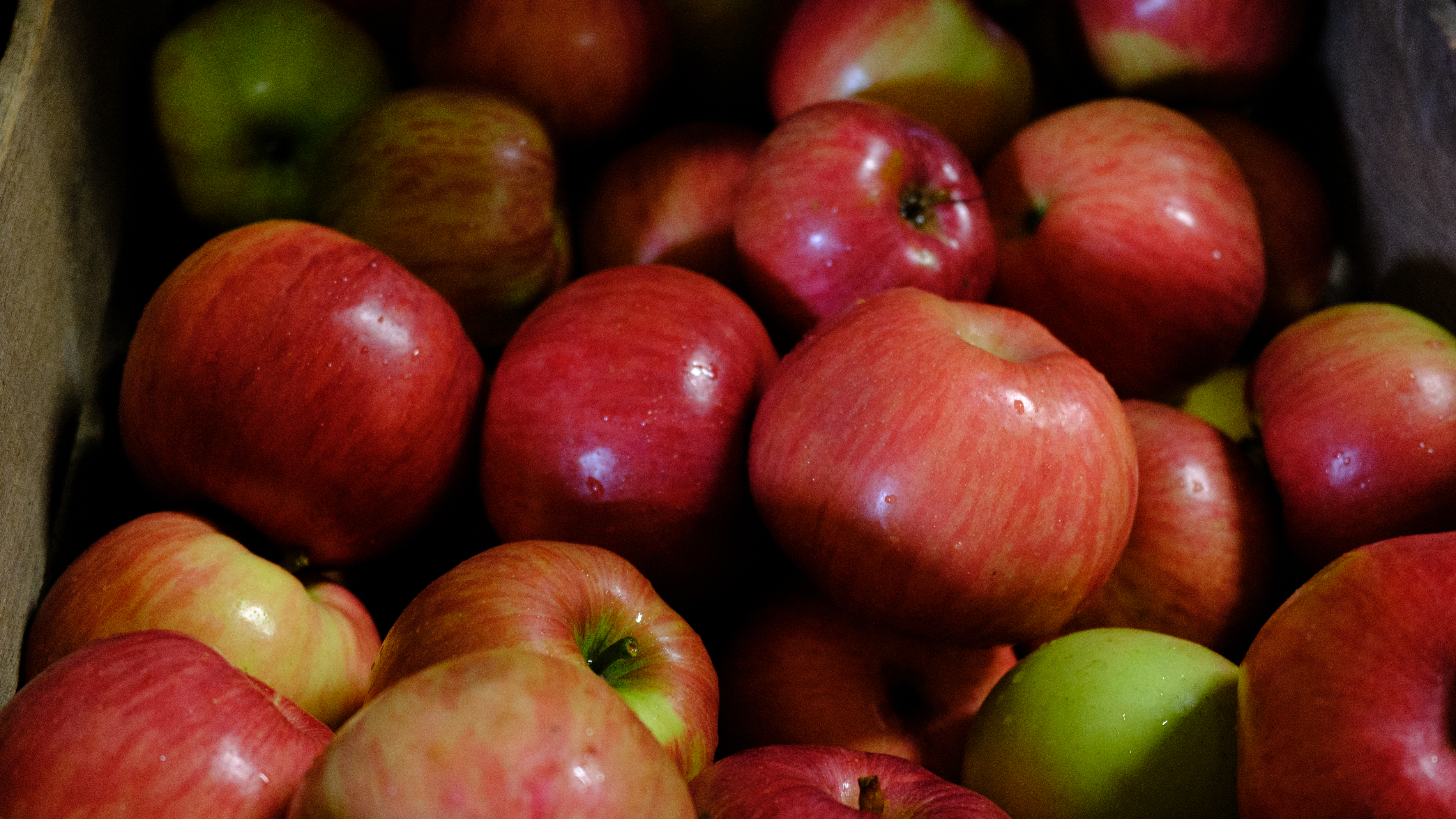 Fall photos taken with the Fujifilm GFX100RF