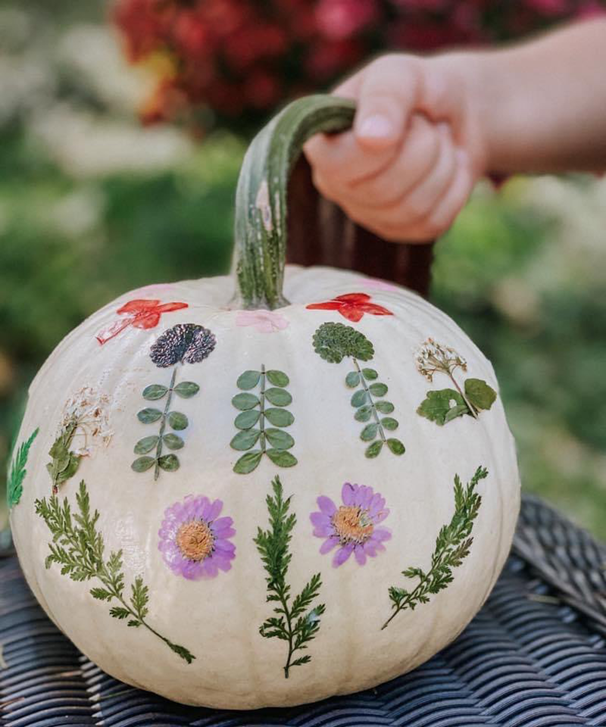 A pumpkin decorating idea using a white ghost variety with dried flowers and leaves