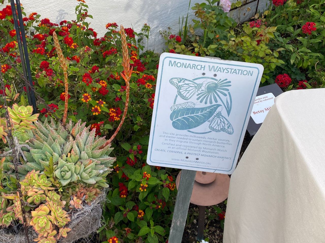 Certified Monarch Waystation