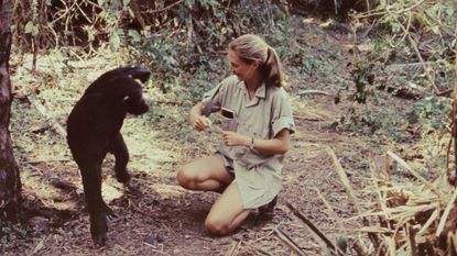 Jane Goodall in Tanzania in 1965