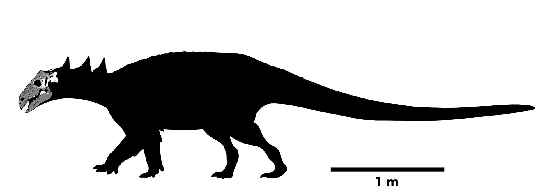 A black and white drawing of a four-legged dinosaur against a white background