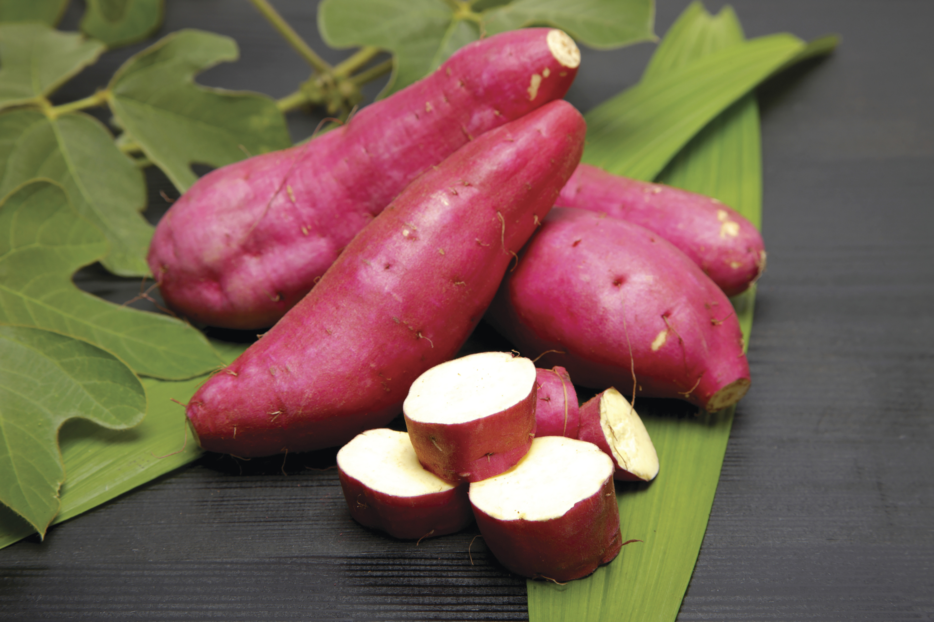 small Japanese garden ideas: purple sweet potato Marasaki Suttons