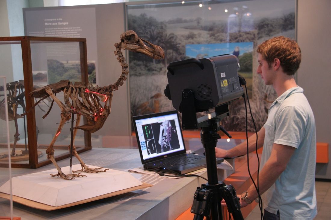 Here, researcher Andy Biedlingmaier scans the only known complete skeleton from a single dodo.