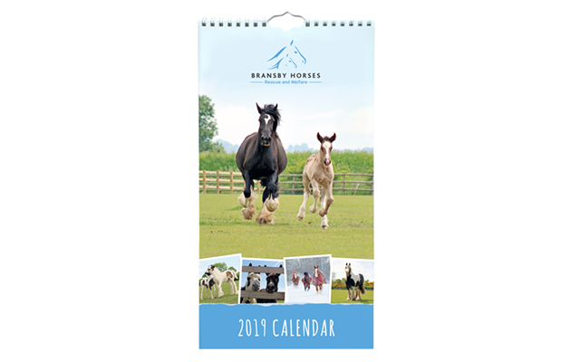 Bransby 2019-calendar