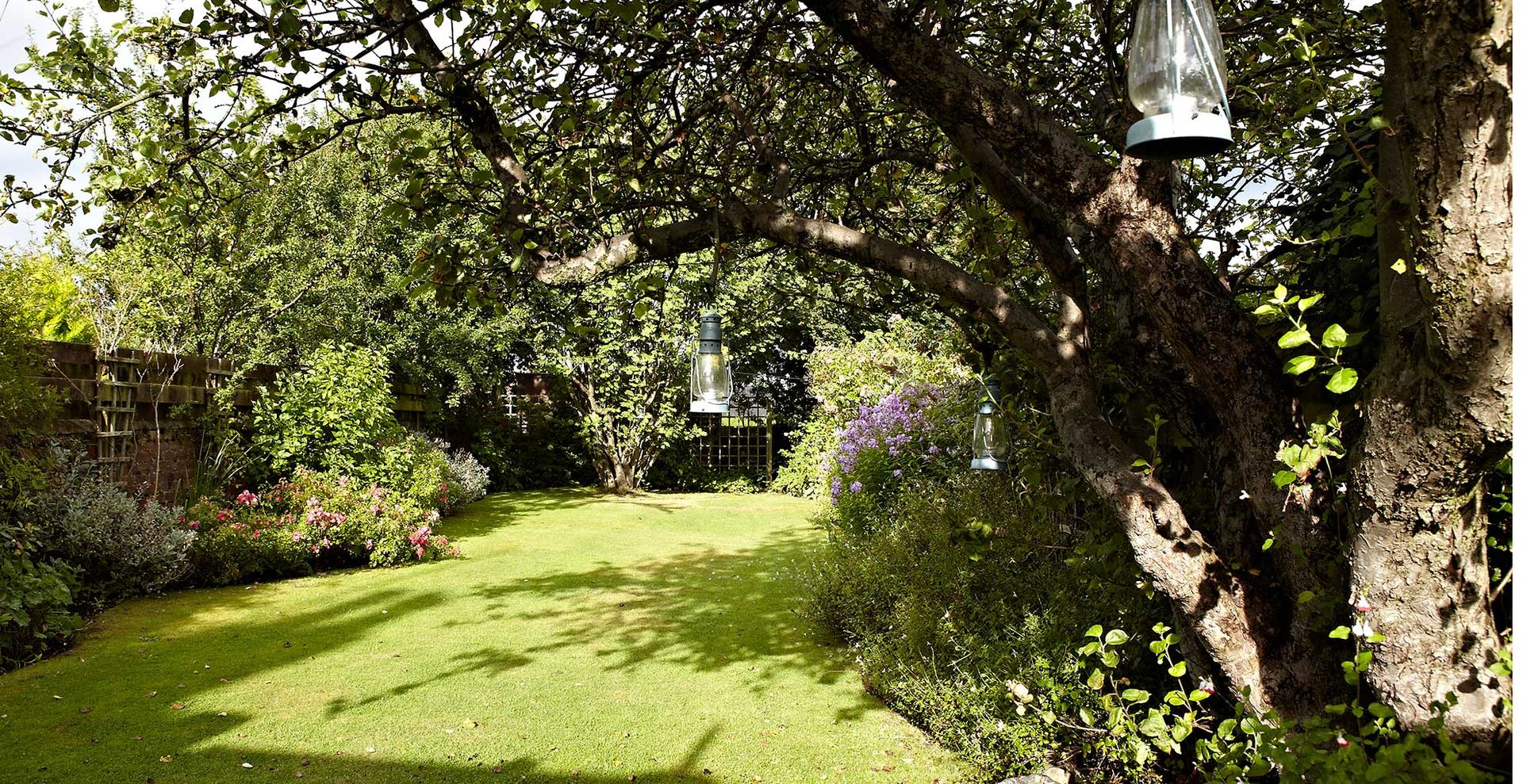 Garden with lawn and borders with a tree with lanterns hanging