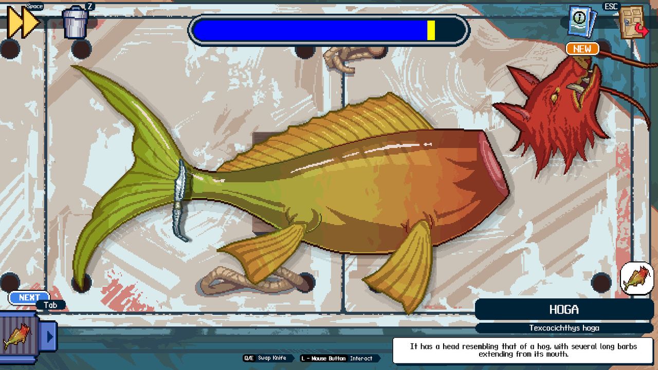 Indie devs behind viral fishing game say "AI slop" clones helped promote the real thing