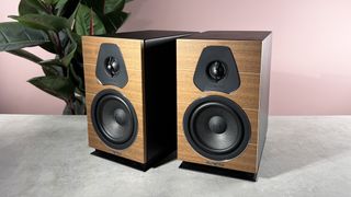 Sonus Faber Lumina II on a stone surface