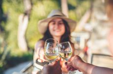 Group of people having a meal in the garden in summer and having a toast with white wine.