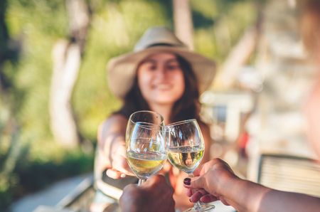 Group of people having a meal in the garden in summer and having a toast with white wine.