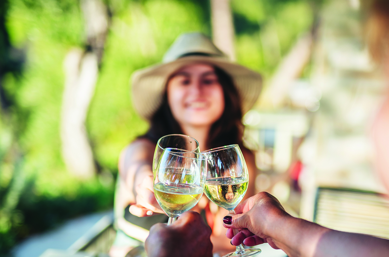 Group of people having a meal in the garden in summer and having a toast with white wine.