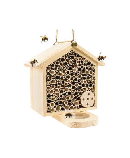 Amazon wooden bee hotel and bath Amazon wooden bee hotel and bath