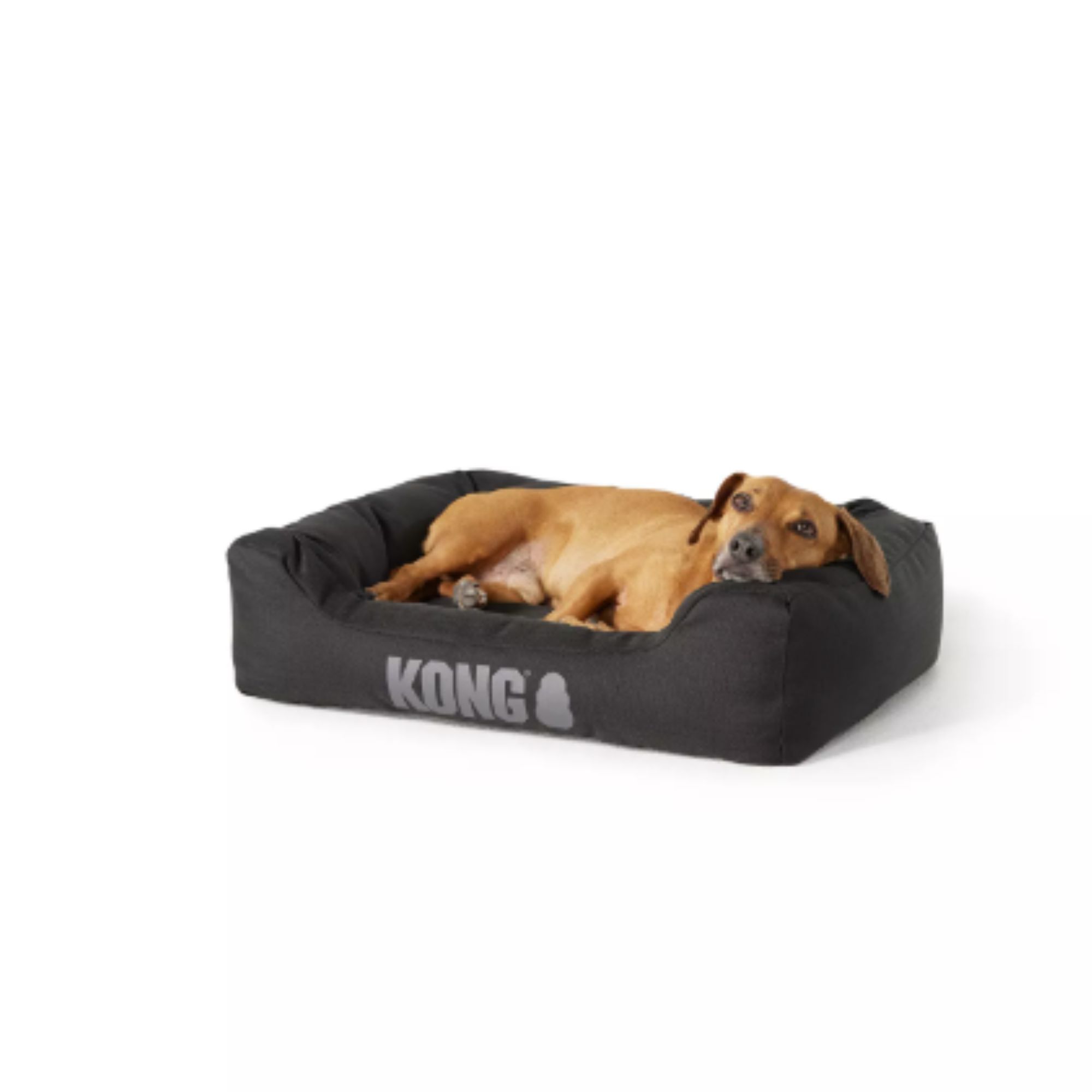 KONG&amp;reg; 4-Sided Cuddler Dog Bed
