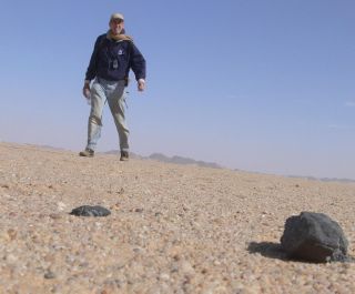 Astronomer Peter Jenniskens walks among meteorites from the asteroid 2008 TC3 in the Nubian Desert of Sudan.