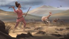 Artistic reconstruction of a vicu&ntilde;a hunt in Wilamaya Patjxa.