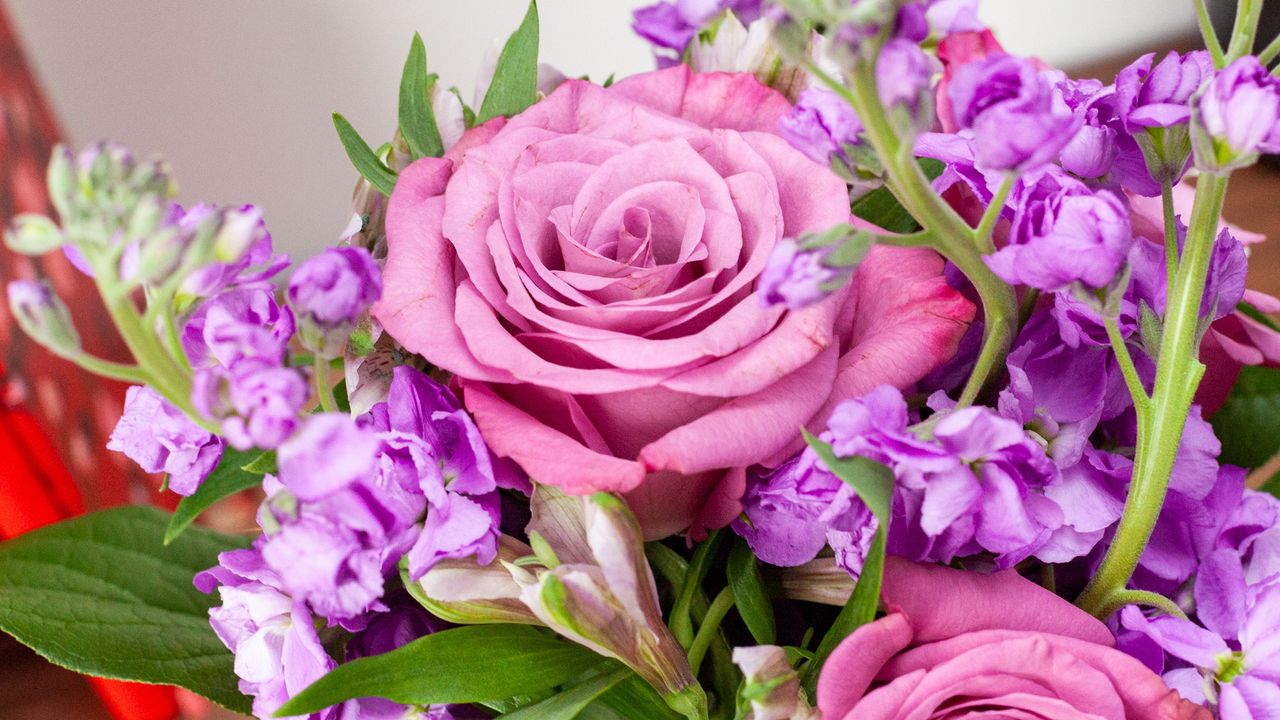 Valentine's Day flowers