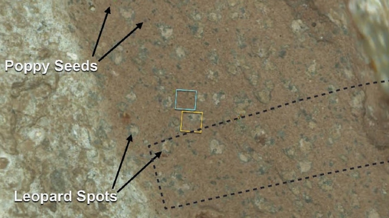 'Poppy seeds' and 'leopard spots' on Mars could hint at ancient microbial life