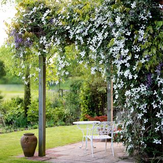 green garden area with plants trees and white table and chair
