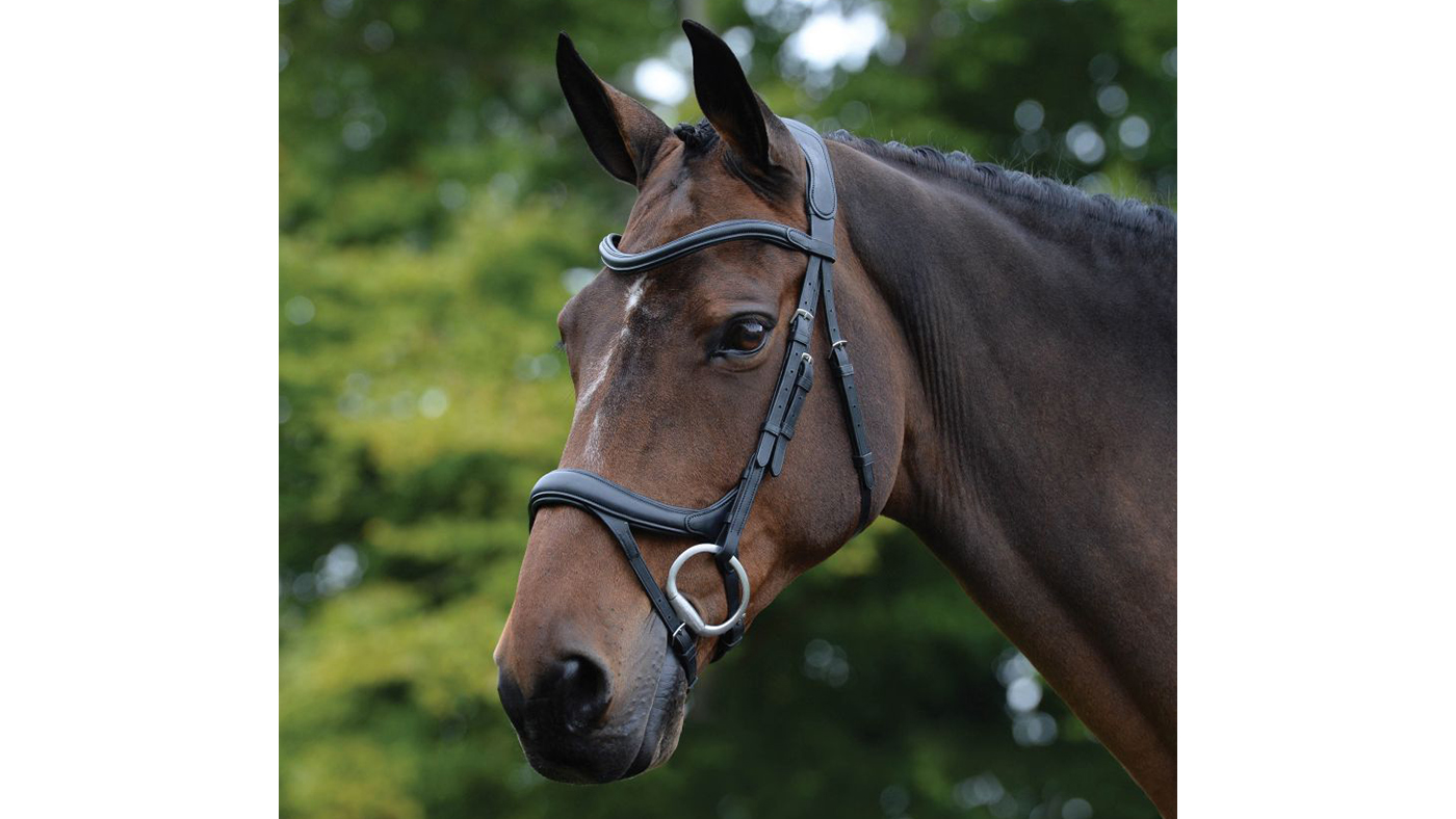 Collegiate ComFiTec Vogue Anatomical Bridle