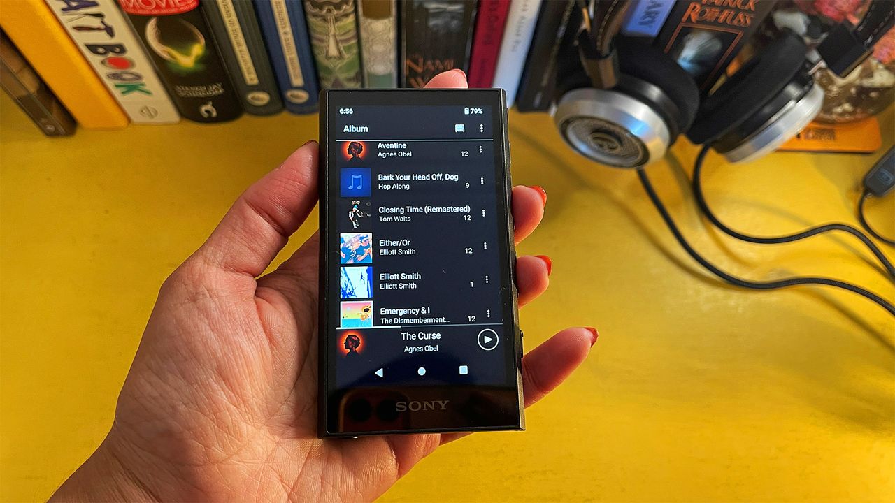Portable music player: Sony NW-A306