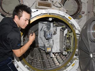 Japan Aerospace Exploration Agency astronaut Aki Hoshide