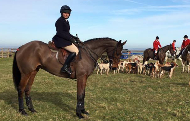 Annacotty enjoying a day's hunting.