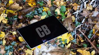 Samsung Galaxy Tab S10+ review: the best of both worlds