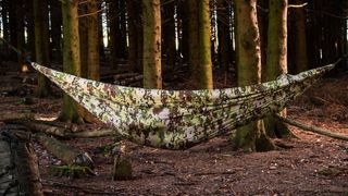Snugpak Tropical hammock in woodland
