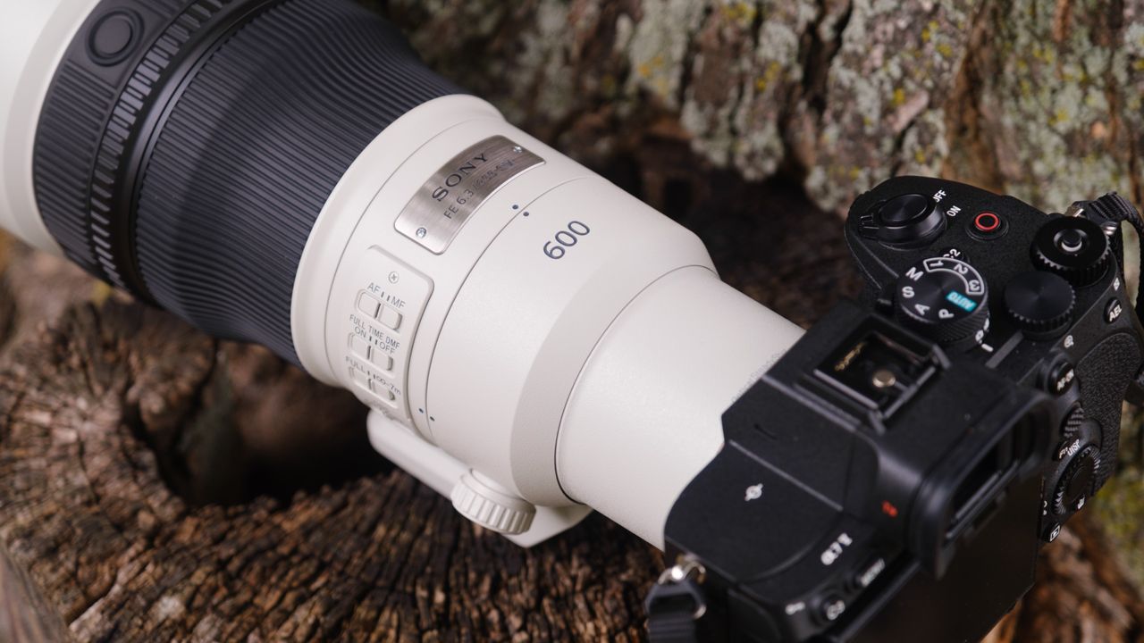 The Sony FE 600mm f/6.3 GM OSS photographed outdoors