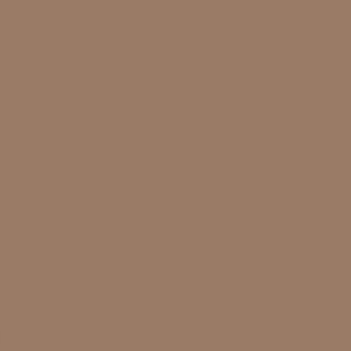 A earthy terracotta paint swatch