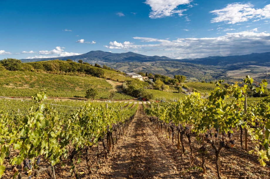 Decanter Brunello masterclass NYC