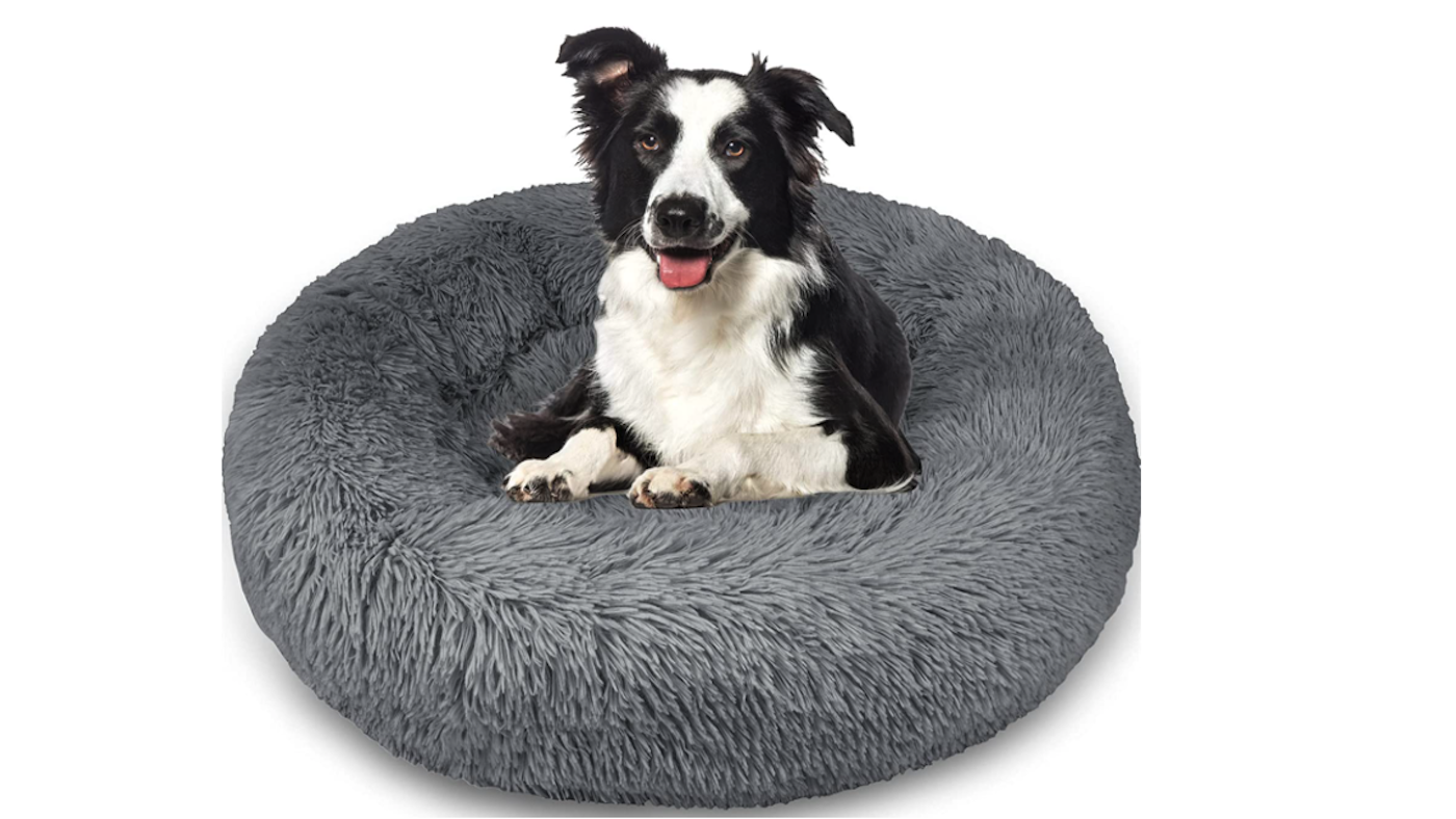 Enjamoy donut dog bed with collie