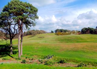 Delamere Forest Golf Club - 10th hole