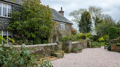Front garden ideas