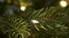 Warm White LED Micro Christmas Tree Lights