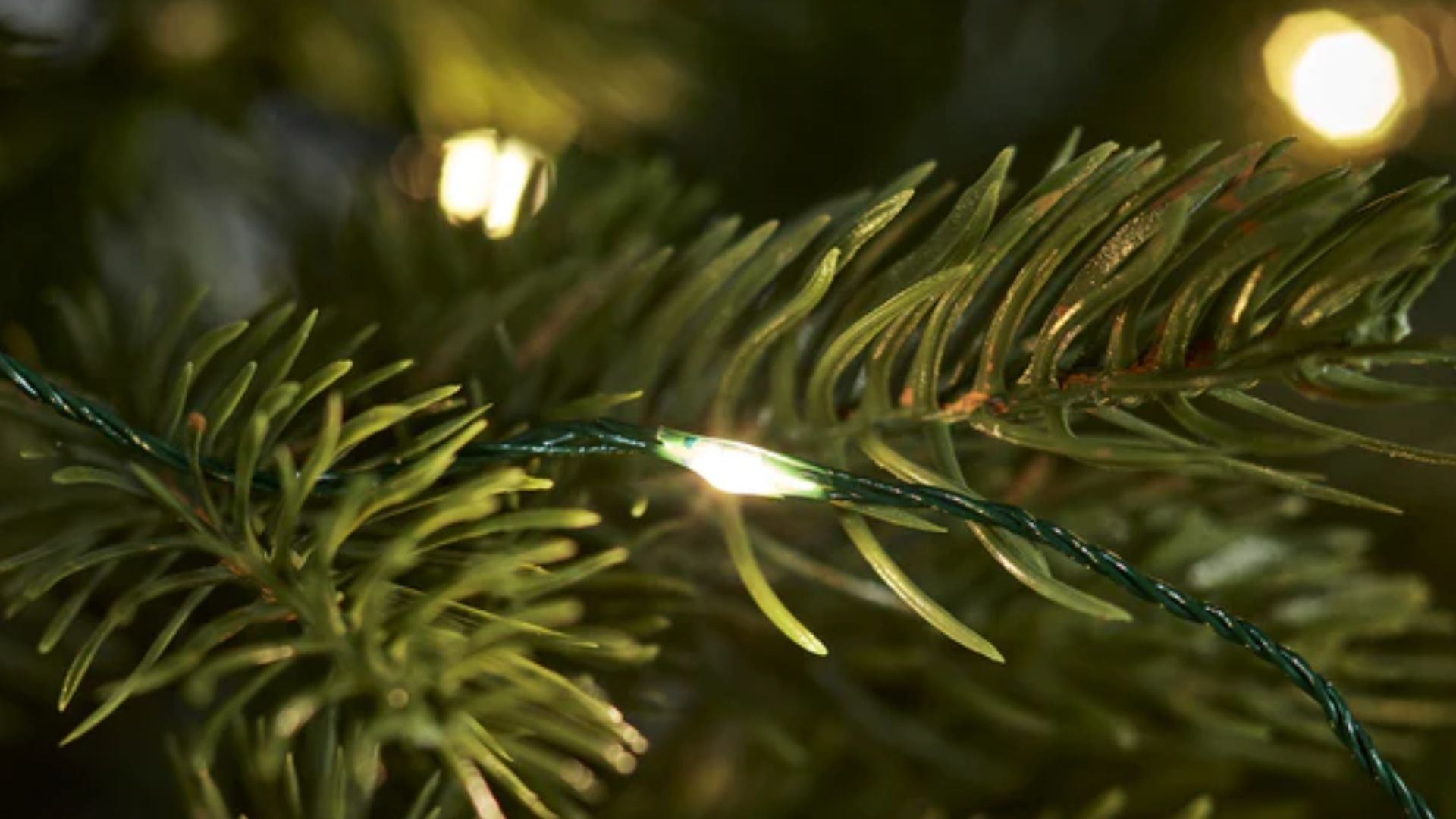 Best Christmas tree lights 2022 tried, tested and rated Woman & Home