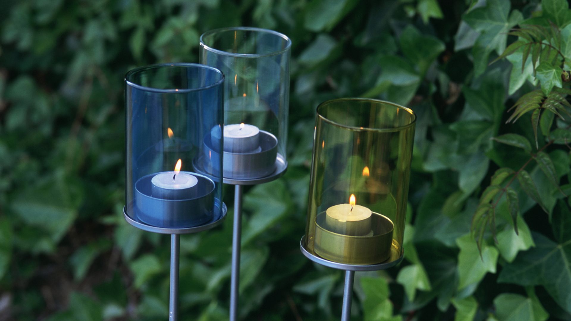 picture of outdoor candles on stakes with ivy behind