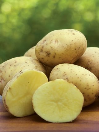 Potato, Yukon Gold