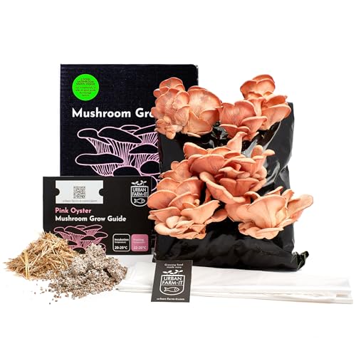 Urban Farm-It Mushroom Growing Kit (xl Pink Oyster) | Gardening Gifts for Women, Men &amp;amp; Kids | Code to Claim Free Spawn &amp;amp; Begin Growing When Ready | Fun, Educational, Easy to Use &amp;amp; Delicious to Eat