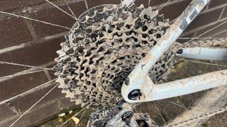 Close up of bike chain covered in mud