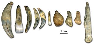 Neanderthal Beads