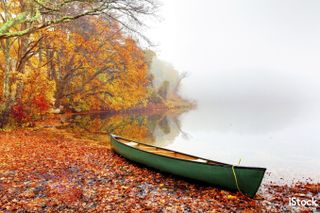 Autumn on Cape Cod by Denis Tangney Jr