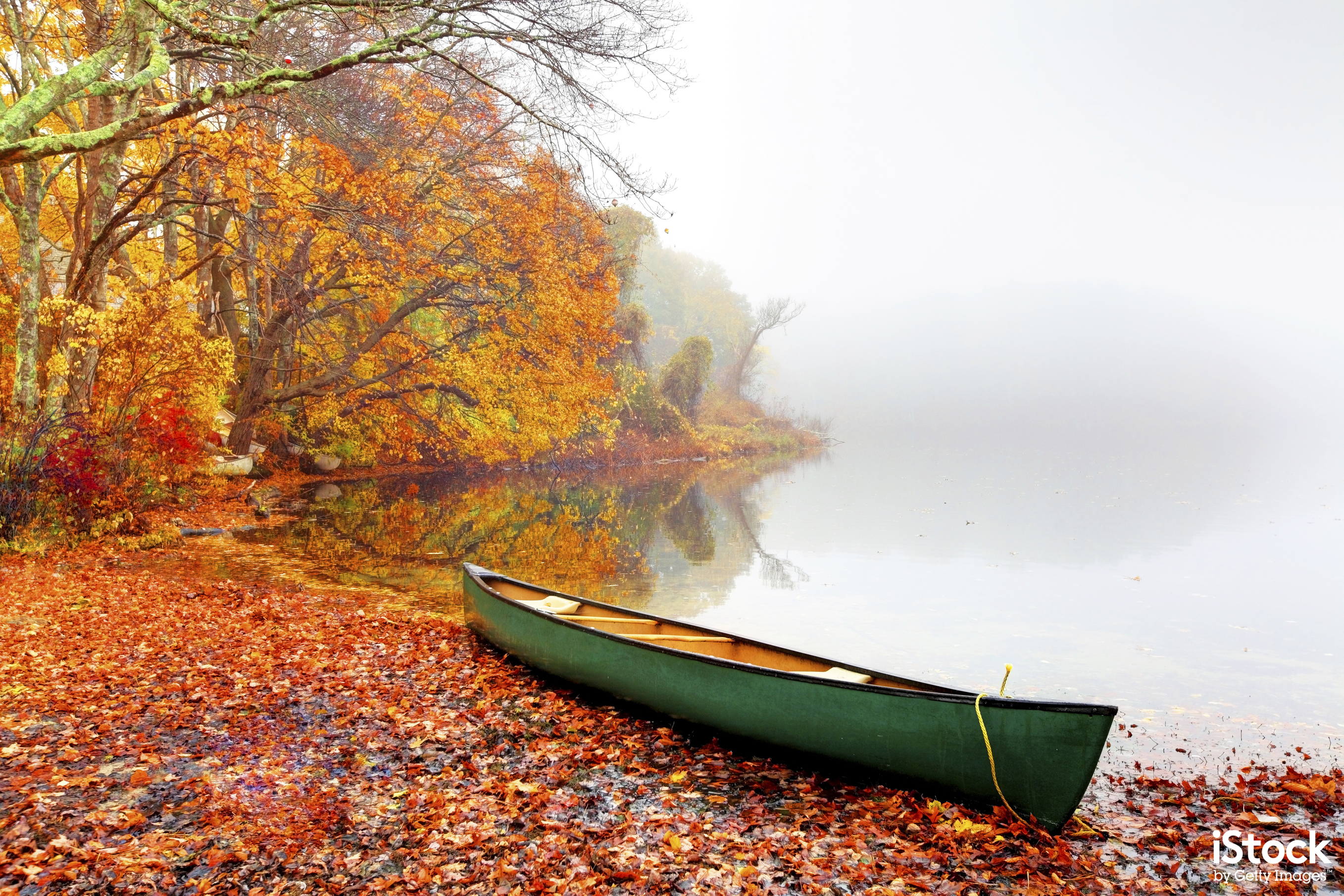 Autumn on Cape Cod by Denis Tangney Jr