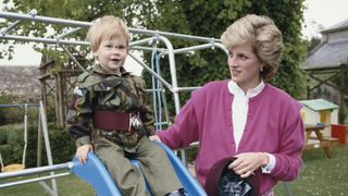 Princess Diana Prince Harry spare