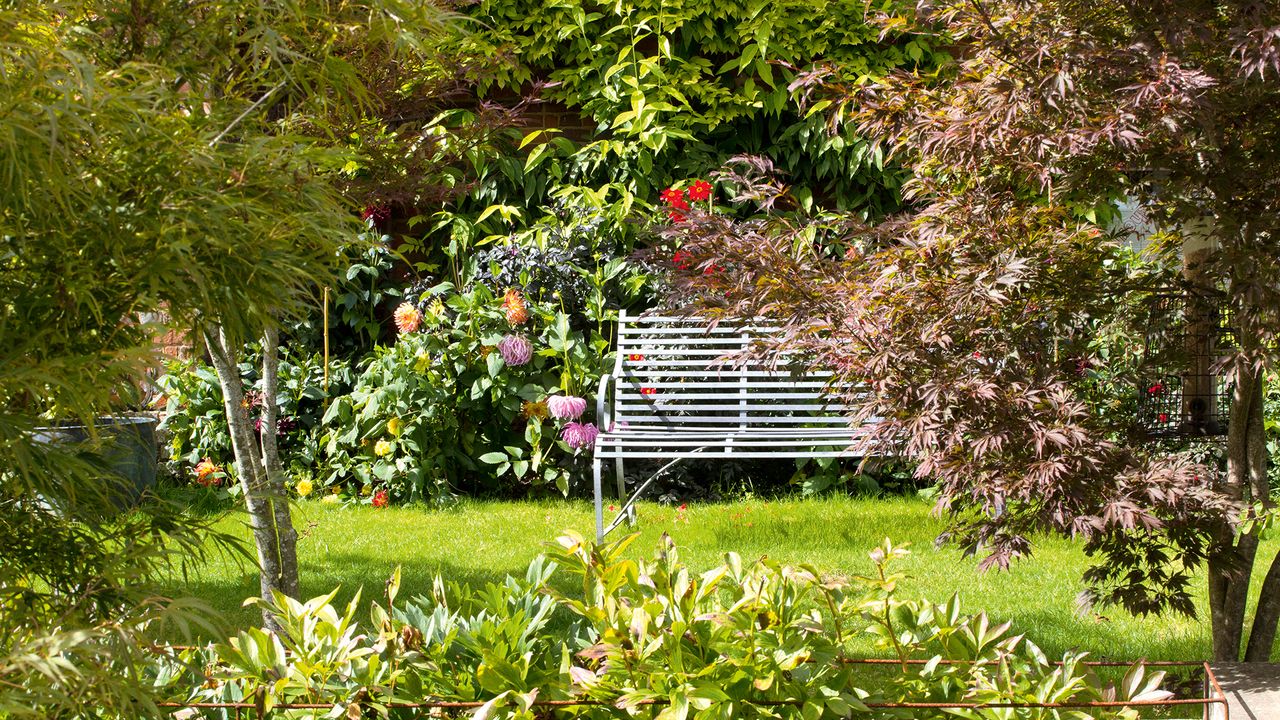 planting bare root trees