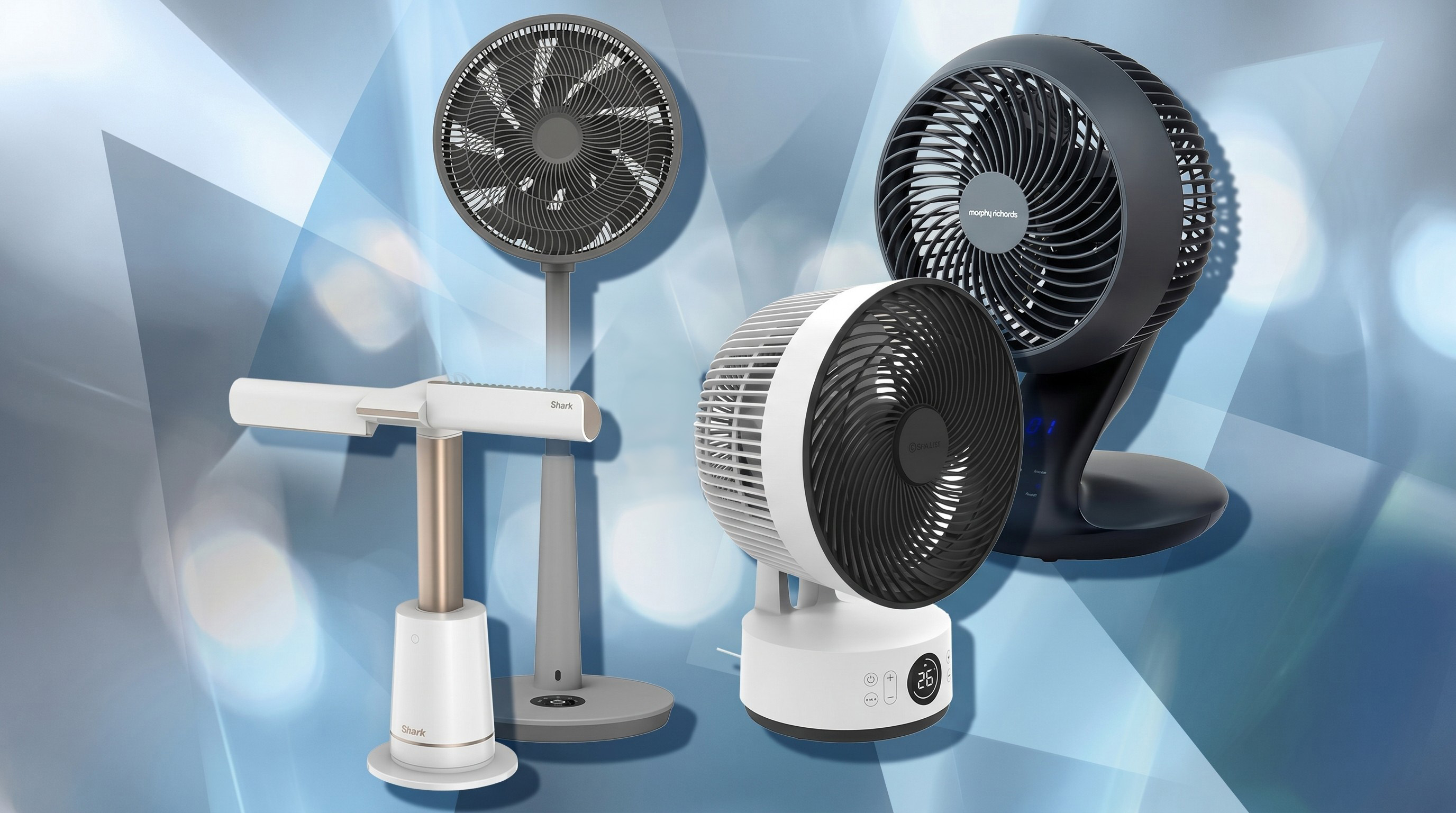 A selection of fans.