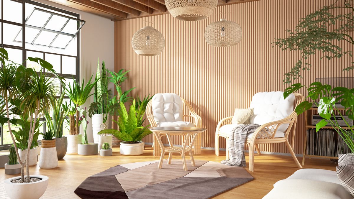 5 plantes Feng Shui pour votre salon 