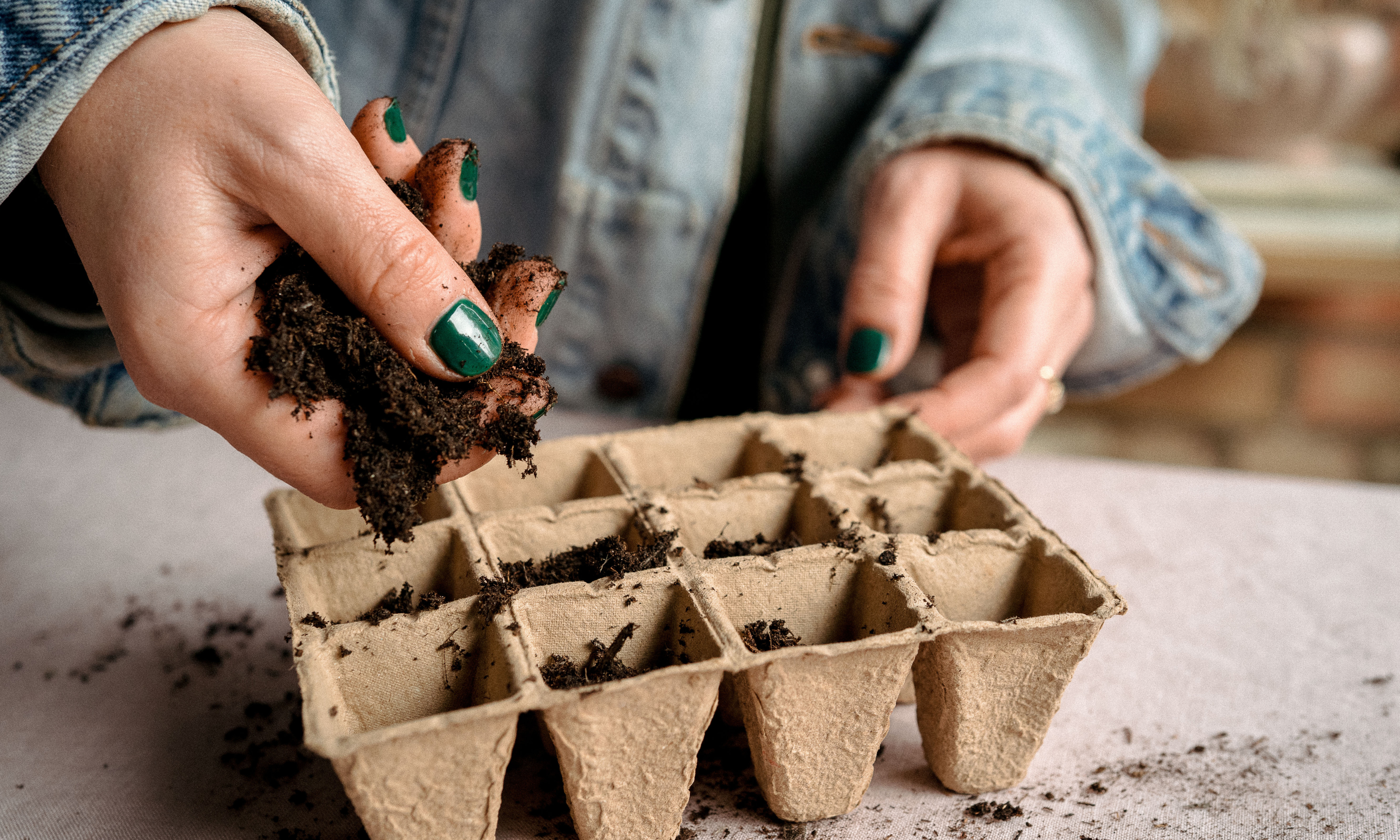 Hands placing compost into a cardboard seed tray