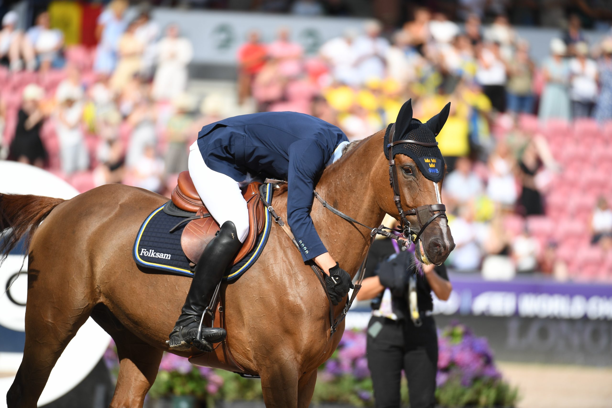 Henrik von Eckermann and King Edward at the World Showjumping Championships